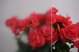 Meglica toplogrednih stekla